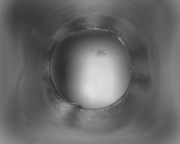 X0000073410045200608111336