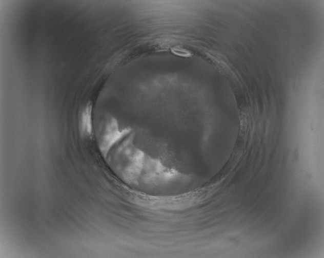 X0000073410046200608111336