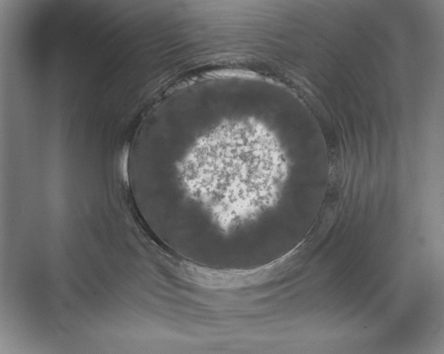 X0000073410047200608111336