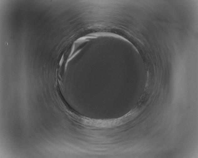 X0000073410048200608111336