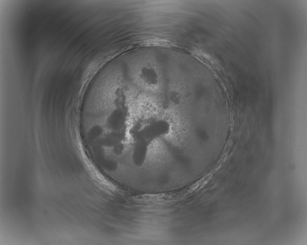 X0000073410049200608111335