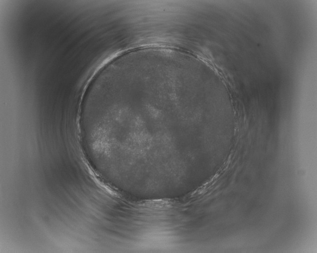 X0000073410050200608111335