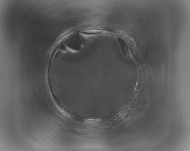 X0000073410051200608111335