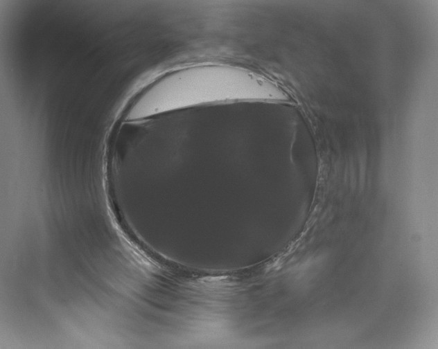 X0000073410054200608111336