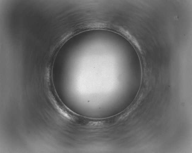 X0000073410057200608111336