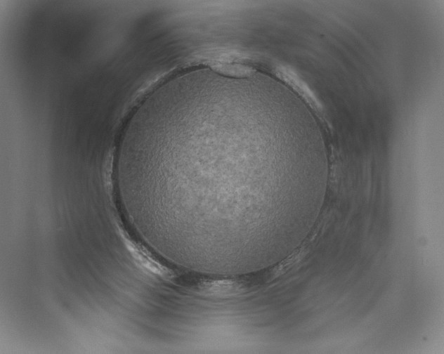 X0000073410058200608111336