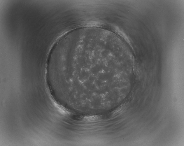 X0000073410059200608111336