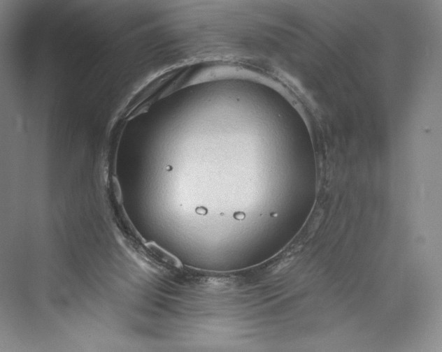 X0000073410060200608111336