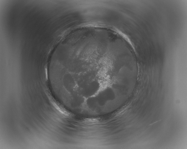 X0000073410061200608111336