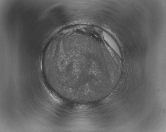 X0000073410062200608111336