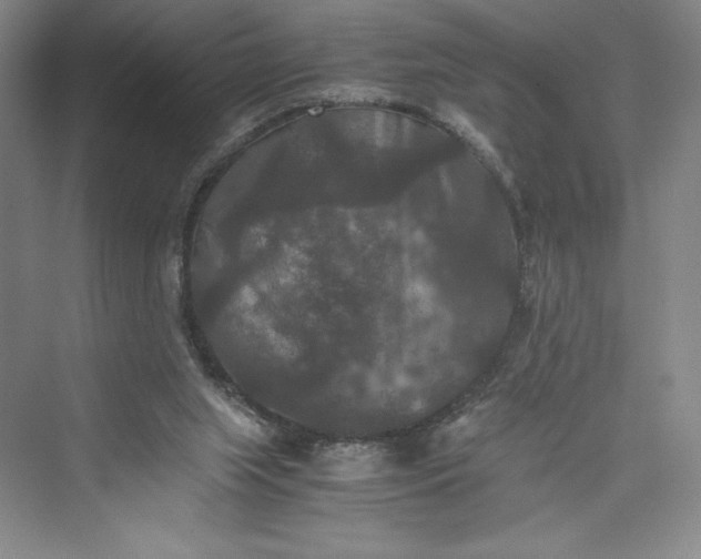 X0000073410063200608111336