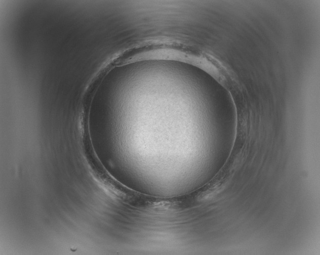 X0000073410064200608111336