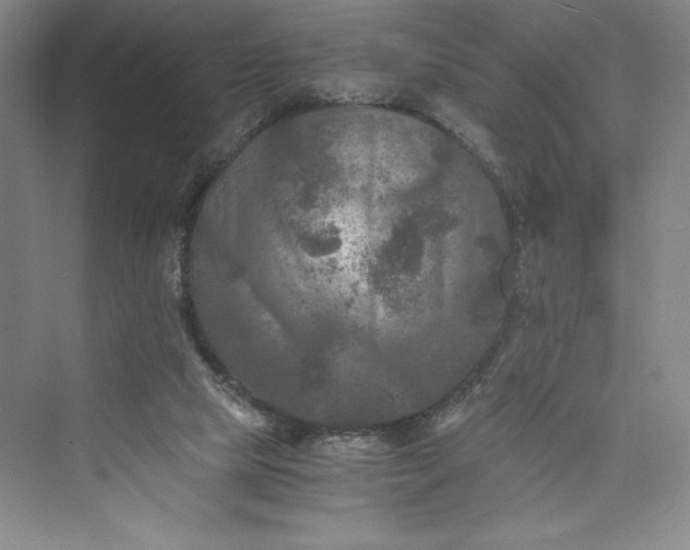 X0000073410065200608111336