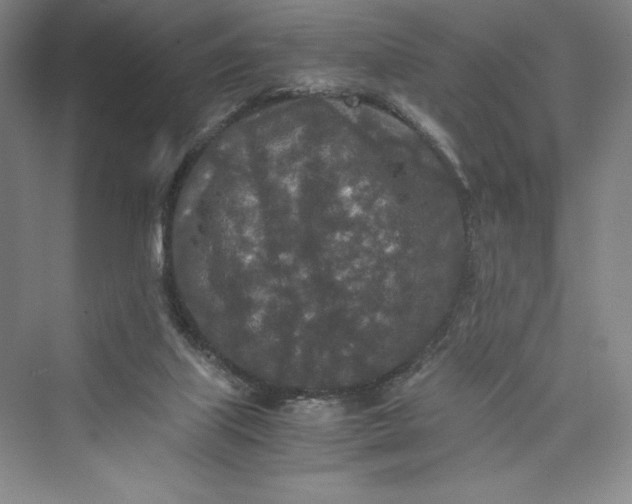 X0000073410067200608111336