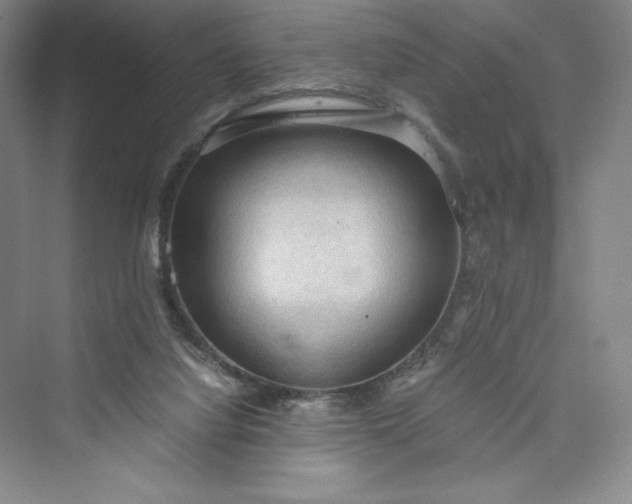 X0000073410068200608111336