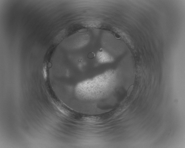 X0000073410069200608111336