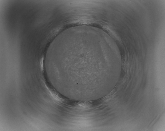 X0000073410070200608111336