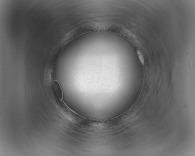 X0000073410071200608111336