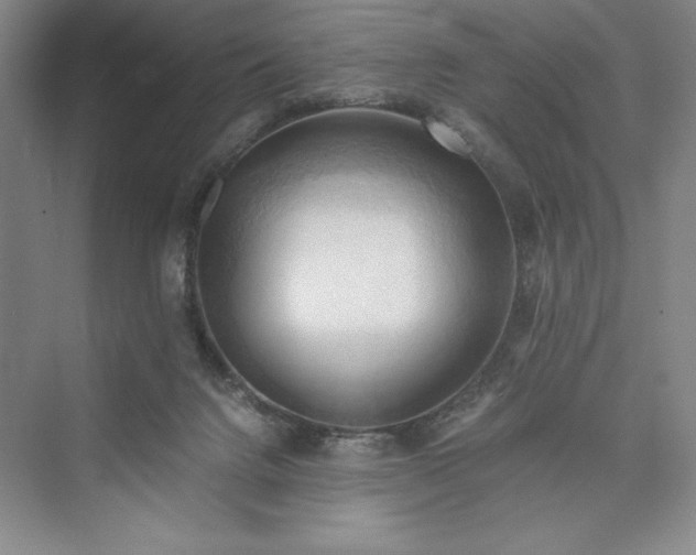 X0000073410072200608111336