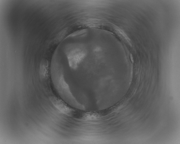 X0000073410073200608111336