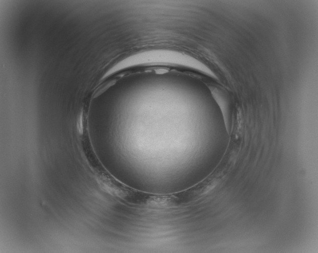 X0000073410076200608111336