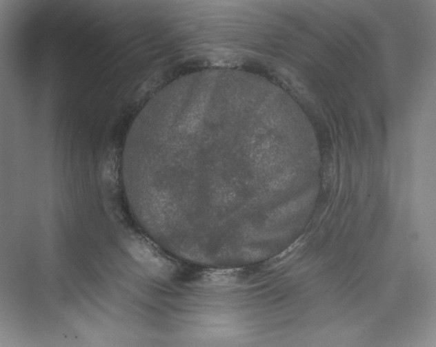 X0000073410078200608111336