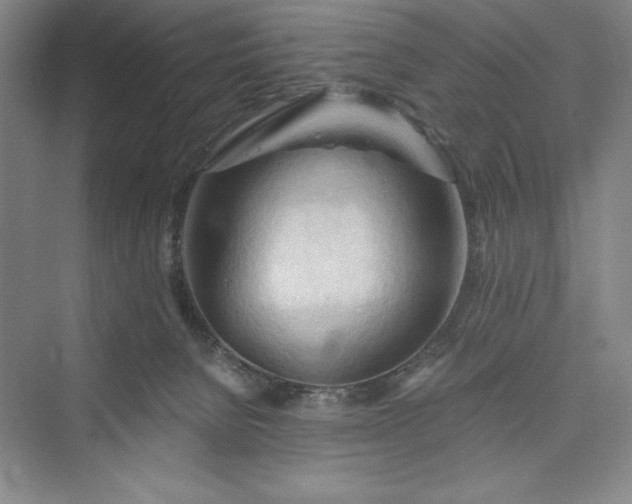 X0000073410080200608111336