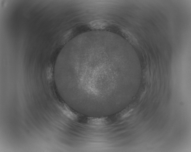 X0000073410081200608111336