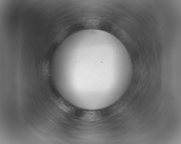 X0000073410083200608111336