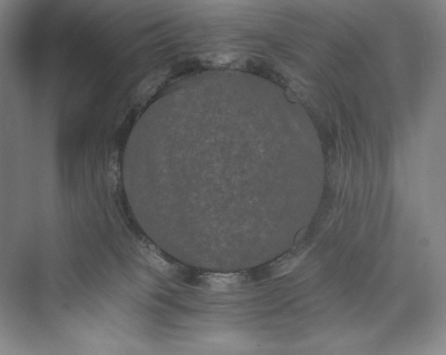 X0000073410085200608111336