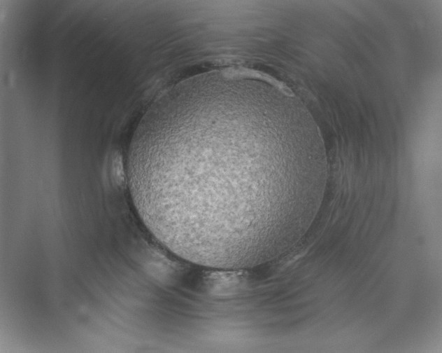 X0000073410089200608111336