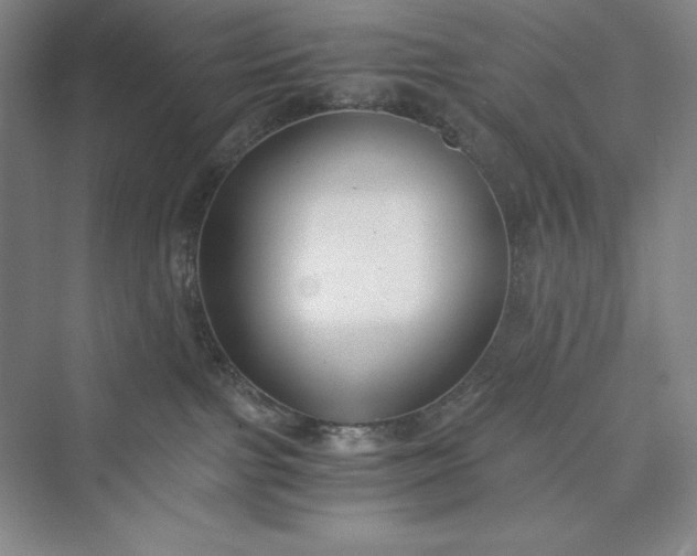 X0000073410091200608111336