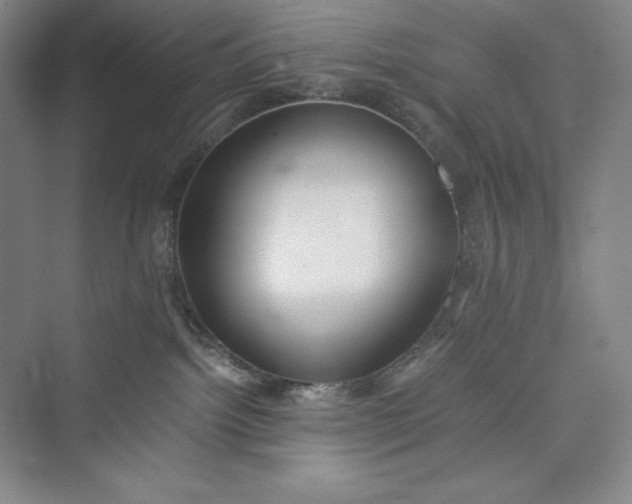 X0000073410092200608111336