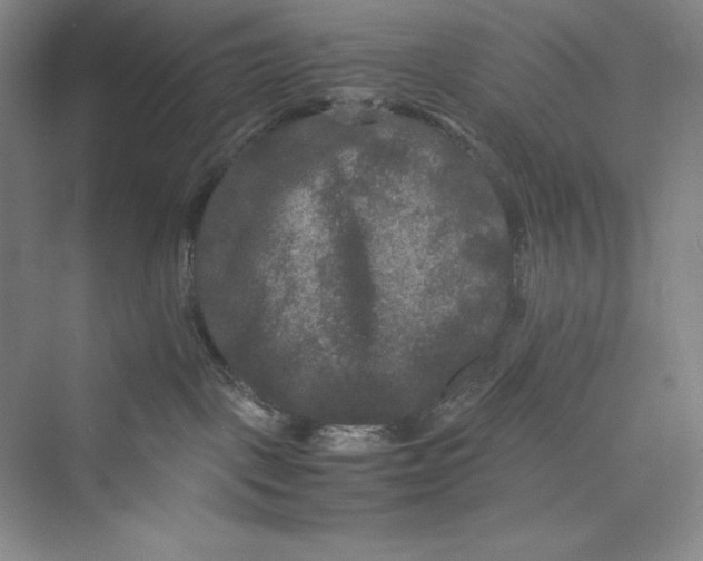 X0000073410093200608111336