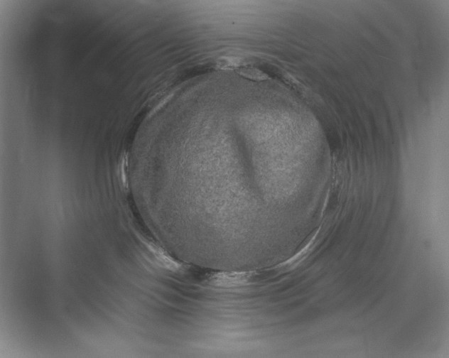 X0000073410094200608111336