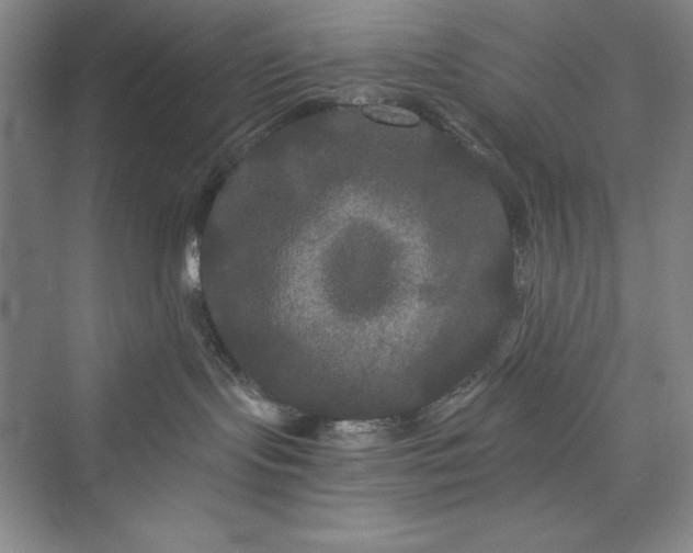 X0000073410095200608111336