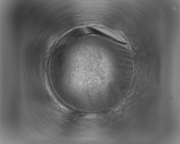 X0000073410097200608111335