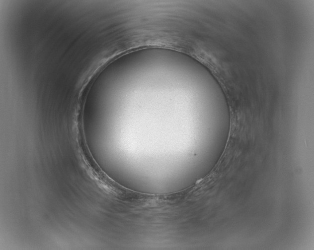 X0000073410098200608111335