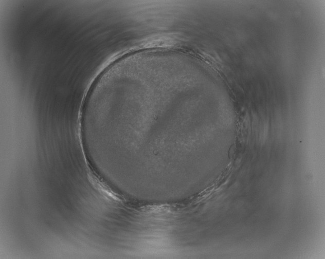 X0000073410100200608111335