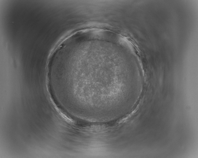 X0000073410101200608111335