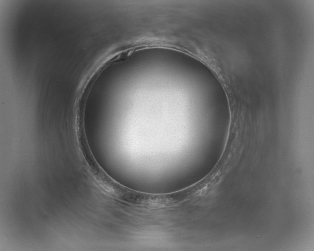 X0000073410103200608111335