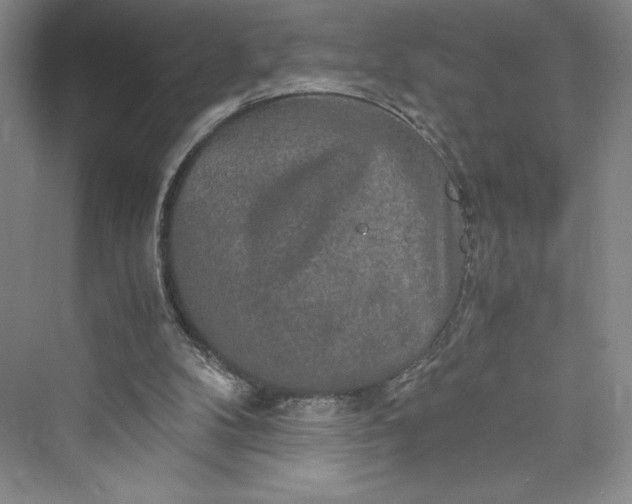 X0000073410104200608111335