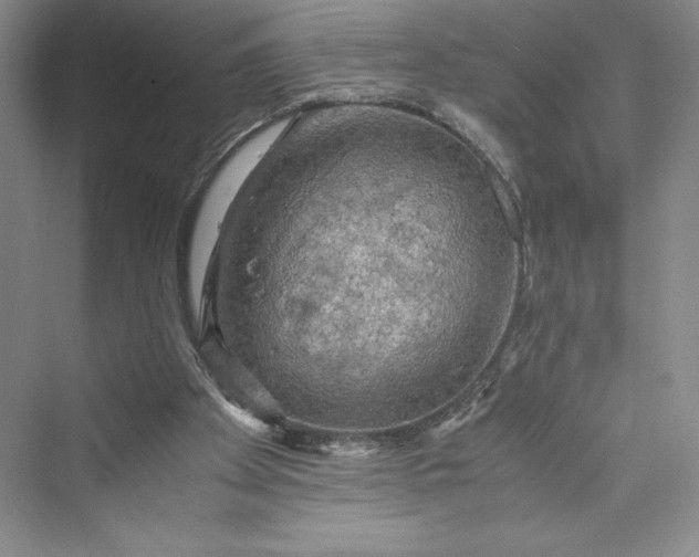 X0000073410105200608111335