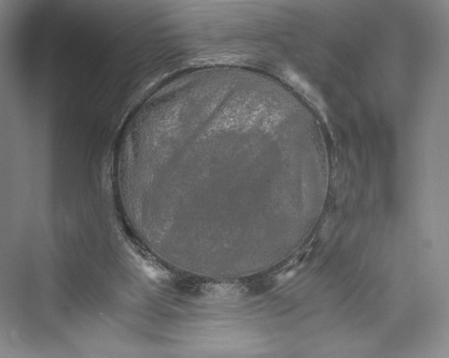 X0000073410107200608111335