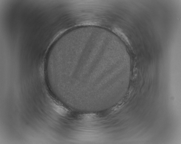 X0000073410108200608111335