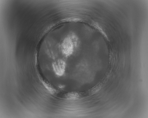 X0000073410110200608111335