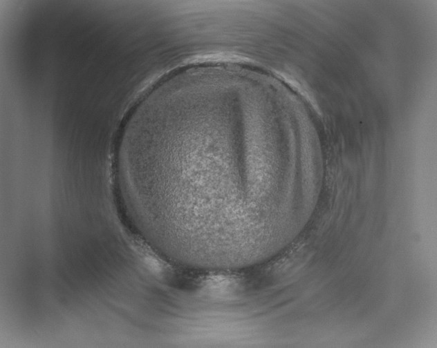 X0000073410111200608111335