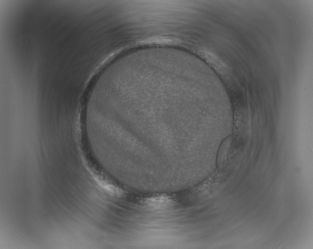 X0000073410112200608111335