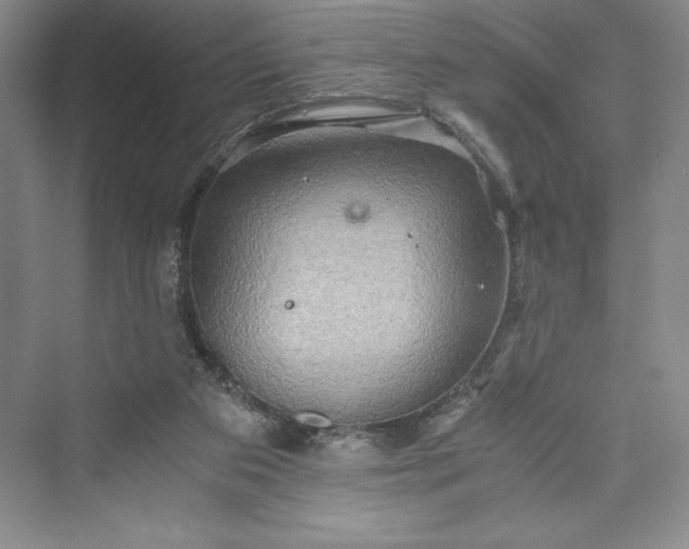 X0000073410113200608111335