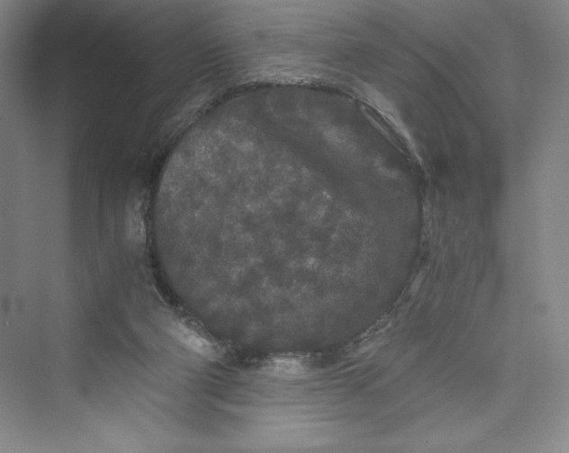 X0000073410114200608111335